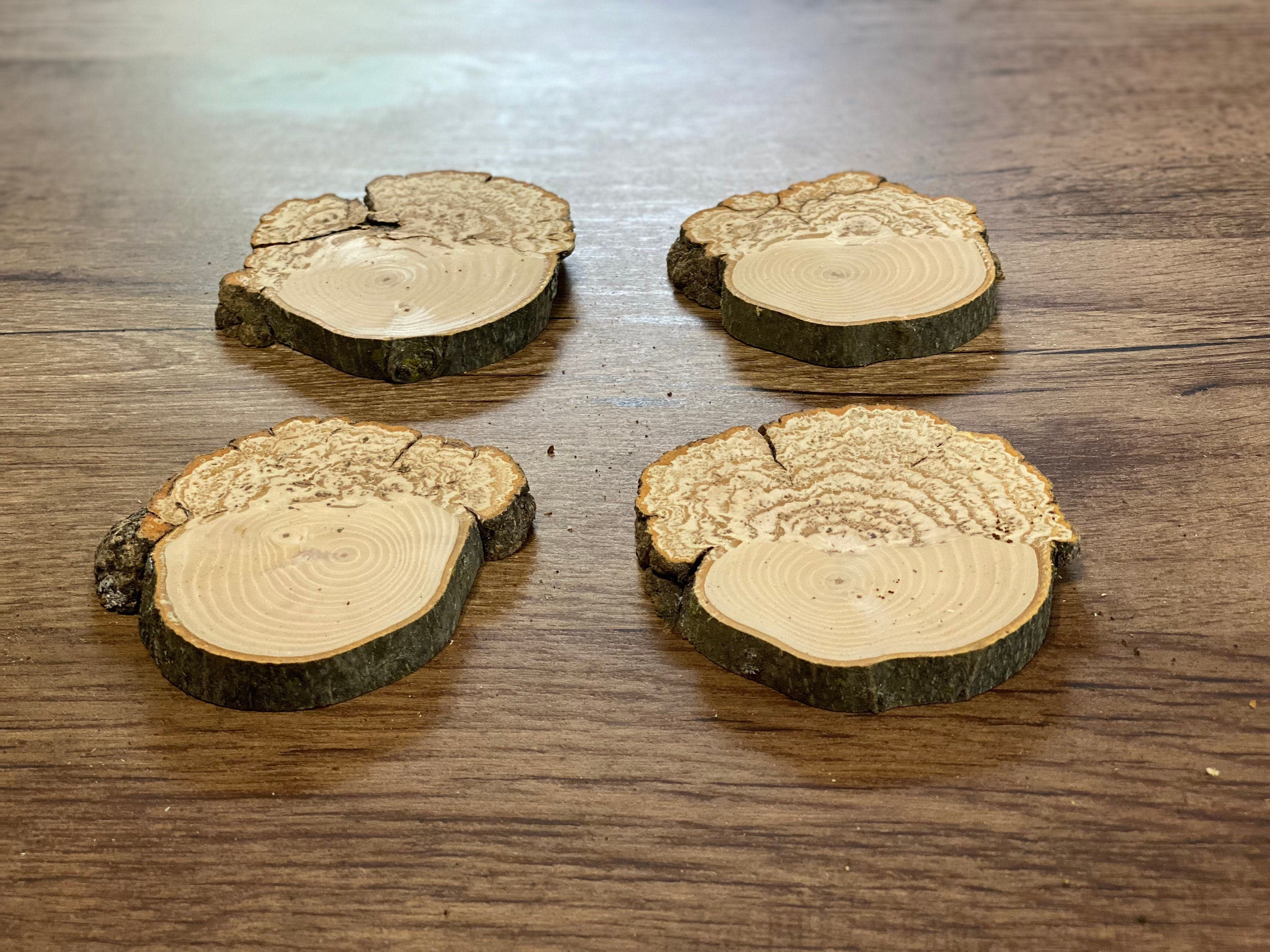 Four Hickory Wood Burl Slices, Approximately 4 Inches in Length by 4 Inches Wide and 1/2 Inch Thick