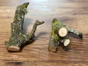 Two Unique Hickory Branches, Hickory Logs, Approximately 4-6 Inches Long by 3-5 Inches Wide and 3-4 Inches Tall