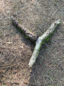 Moss Covered Log, Mossy Y-Shaped Log, 10 Inches Long by 9 Inches Wide and 1 Inch High