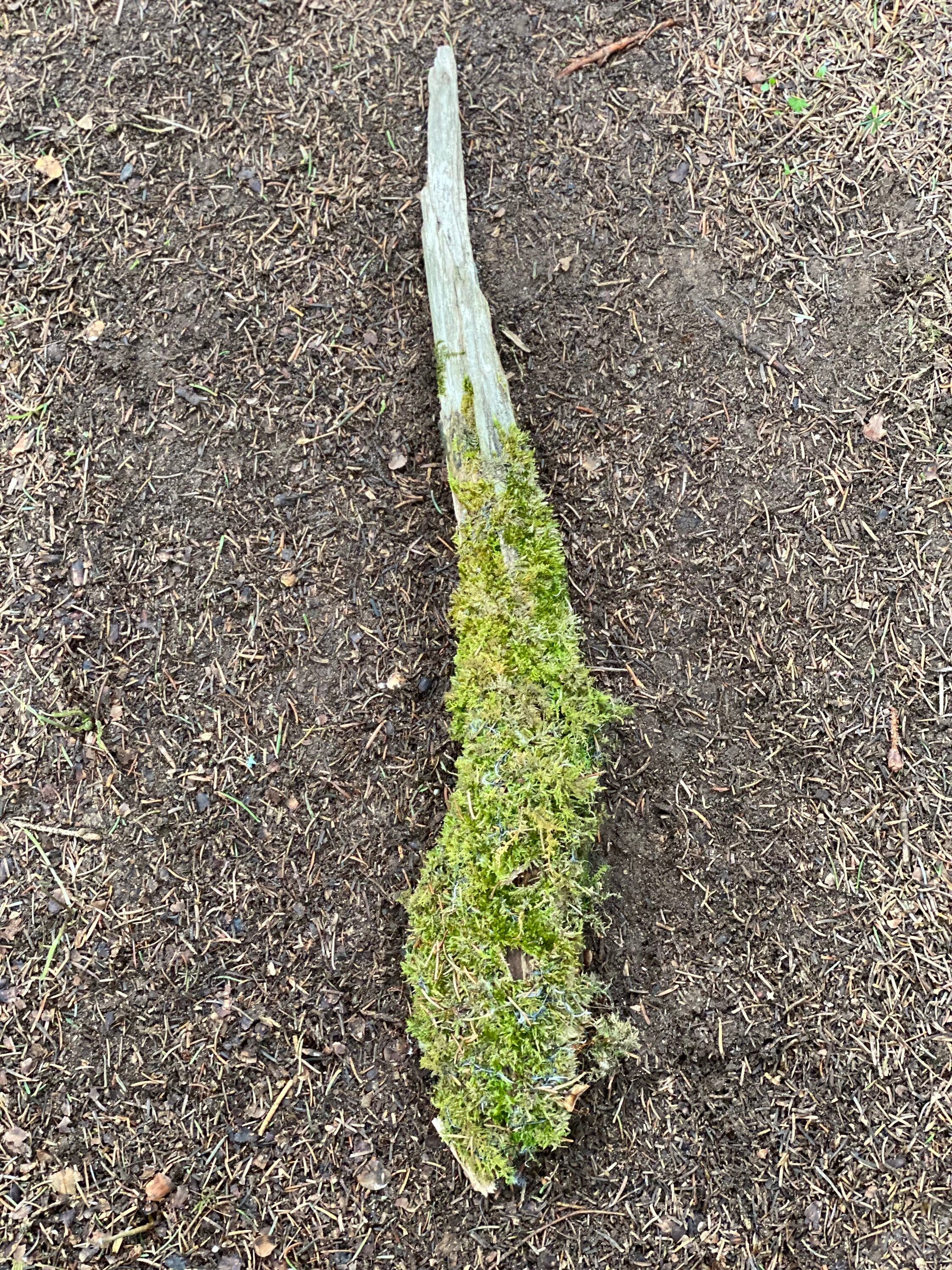 Moss Covered Log, Mossy Log, 22 Inches Long by 3 Inches Wide and 3 Inches High