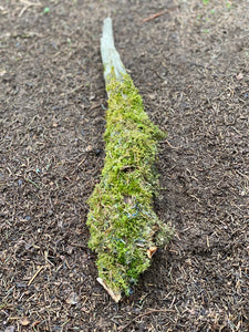 Moss Covered Log, Mossy Log, 22 Inches Long by 3 Inches Wide and 3 Inches High