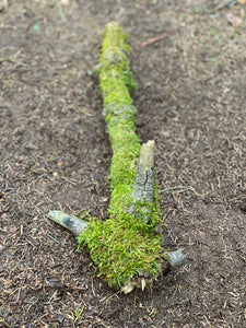 Moss Covered Log, Mossy Log, 17 Inches Long by 7 Inches Wide and 4.5 Inches High