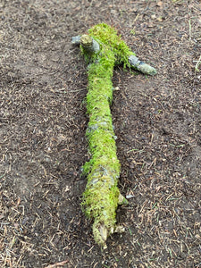 Moss Covered Log, Mossy Log, 17 Inches Long by 7 Inches Wide and 4.5 Inches High
