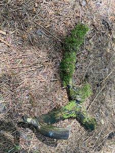 Mossy Log with a Hook, Approximately 10 Inches x 7 Inches Wide and About 4 Inches High