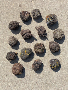 Burls, Fifteen Medium Wood Burl Balls, About 2 Inches Long and Approximately 2 Inches Wide, 15 Pieces