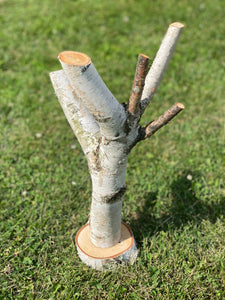 One White Birch Jewelry Stand, Birch Log, Jewelry Holder, Approximately 15.5 Inches Long by 8.5 Inches Wide