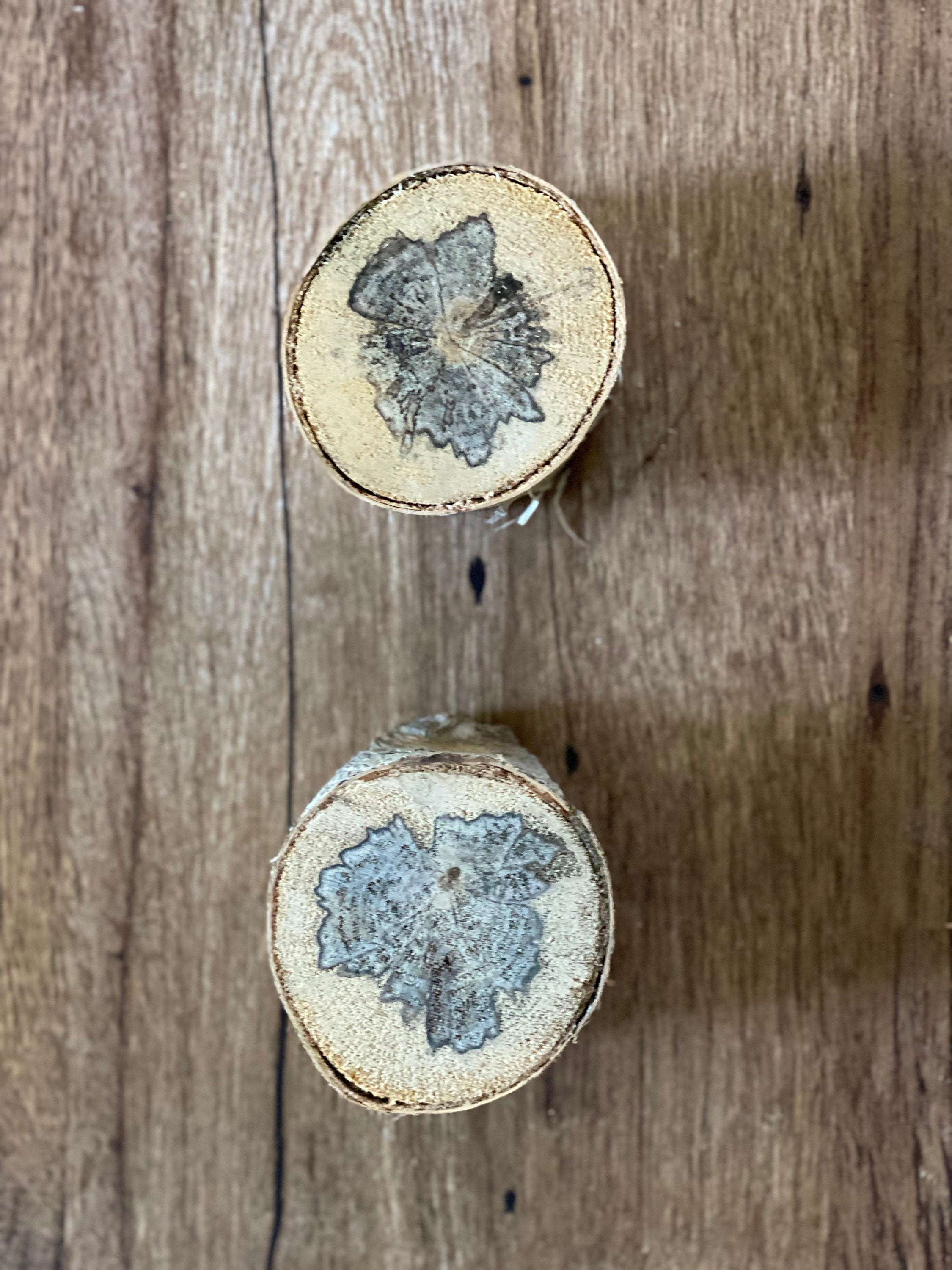 Two Spalted White Birch Logs, Approximately 2-2.5 Inches Long by 3 inches Wide and 2.5-3 Inches Thick