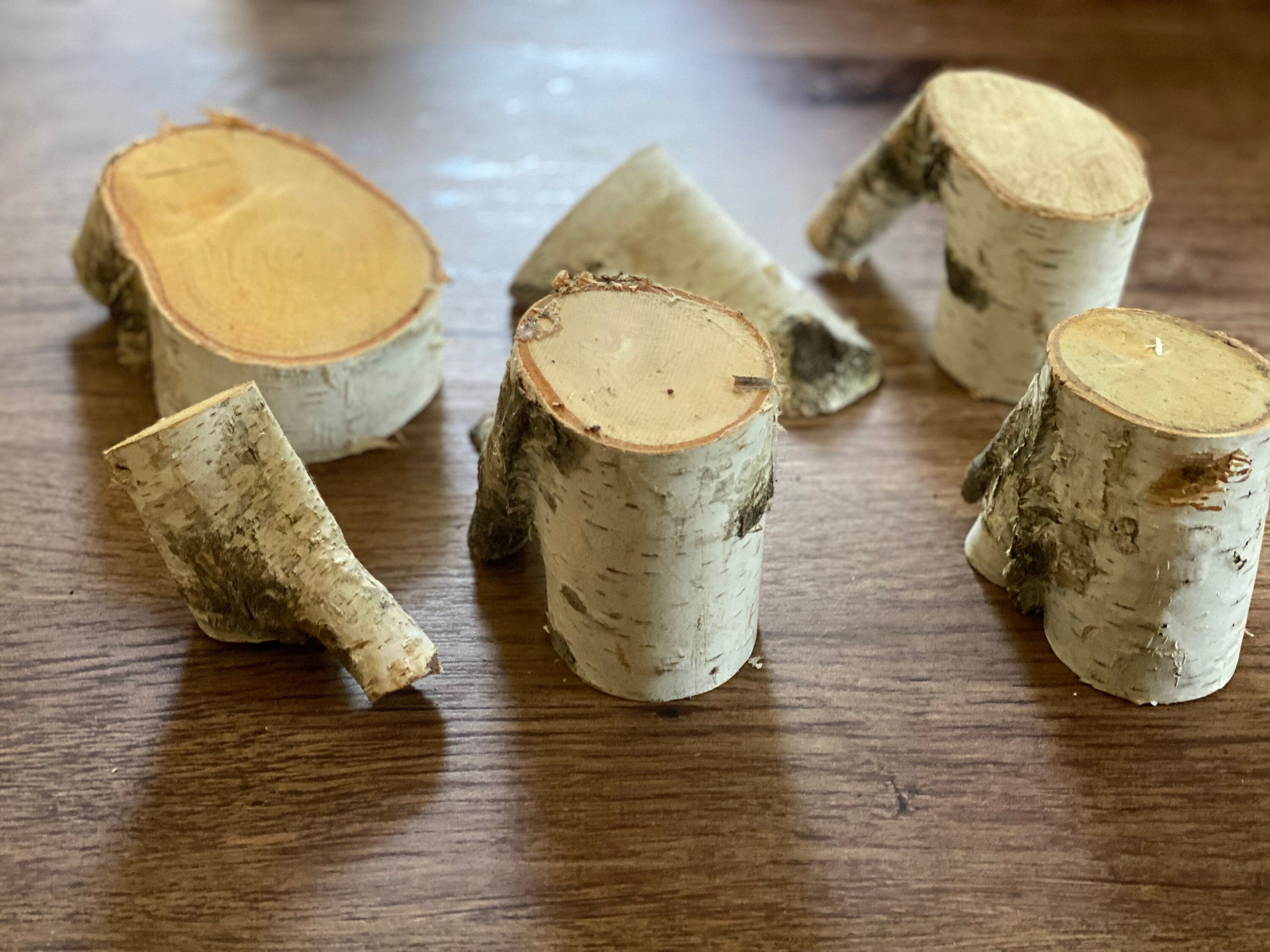 Six Unique White Birch Pieces, 6 Count, 2-5 Inches Long by 3-6 Inches Wide and 2-3.5 Inches Thick