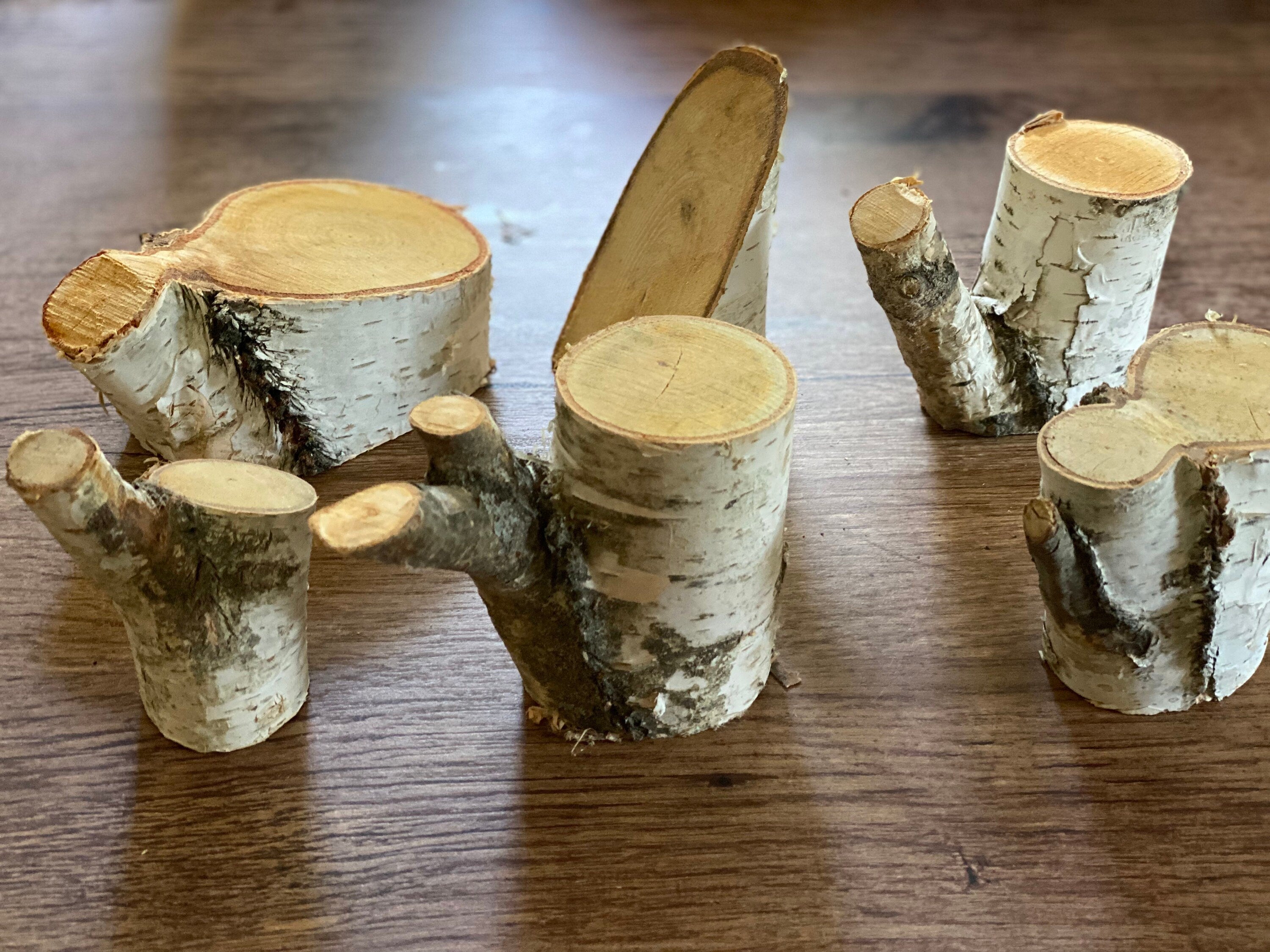 Six Unique White Birch Pieces, 6 Count, 2-5 Inches Long by 3-6 Inches Wide and 2-3.5 Inches Thick