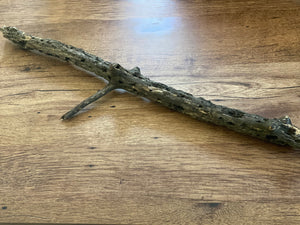 Tree Branch with Natural Woodpecker Holes and Cavities, Unique, 28 Inches Long by 6 Inches Wide and 2 Inches Thick