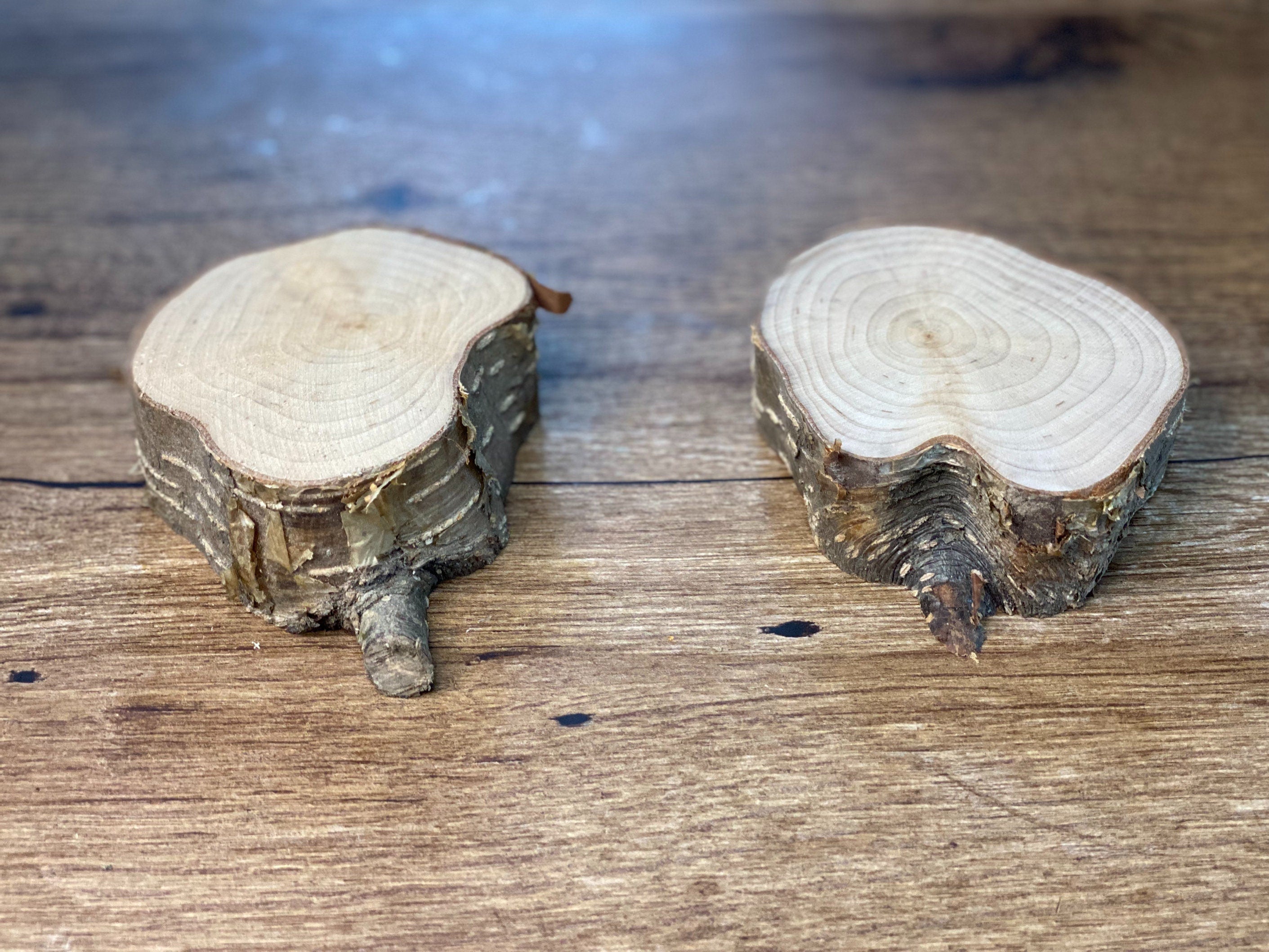 Two Thick Yellow Birch Slices, 2 Golden Brown Discs, Approximately 3-4 Inches Diameter by 1 Inch Thick