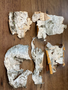 White Birch Bark Pieces, Approximately 5-12 Inches Long by 3-6 Inches Wide