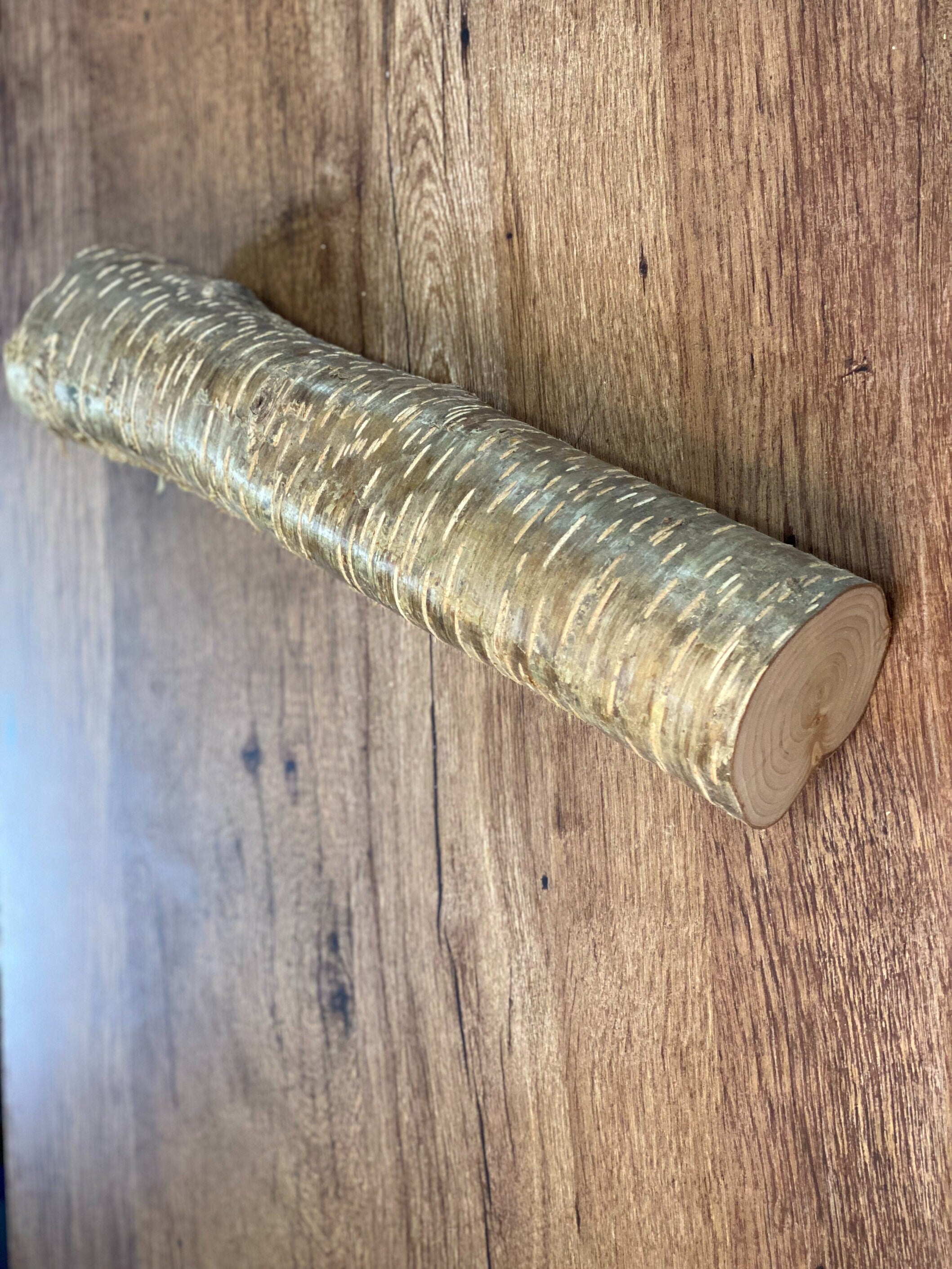 Yellow Birch Log, Golden Brown, Approximately 16 Inches Long by 3 Inches Diameter