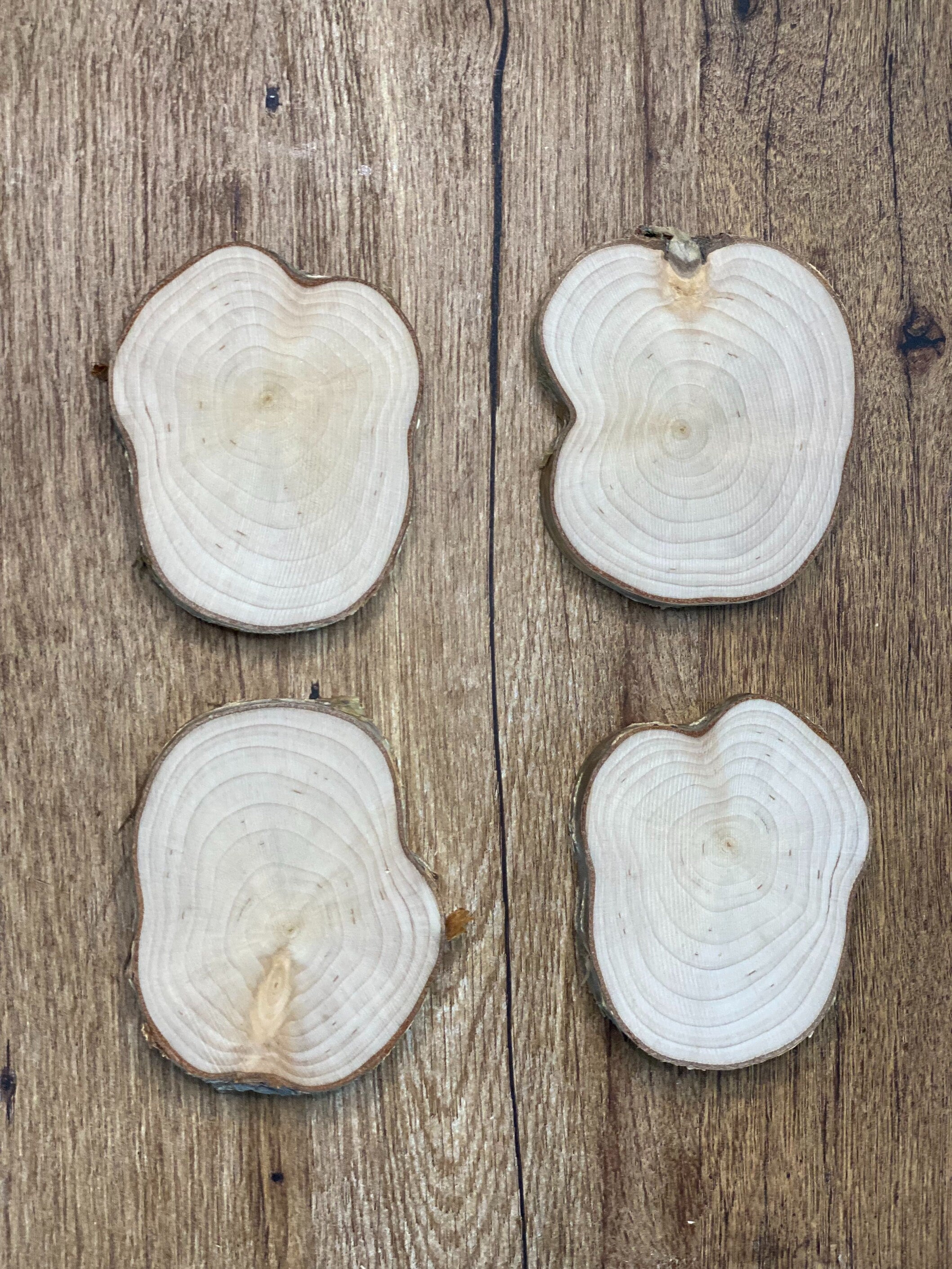 Four Yellow Birch Slices, 4 Golden Brown Discs, Approximately 3 to 4 Inches Diameter by 1/2 Inch Thick