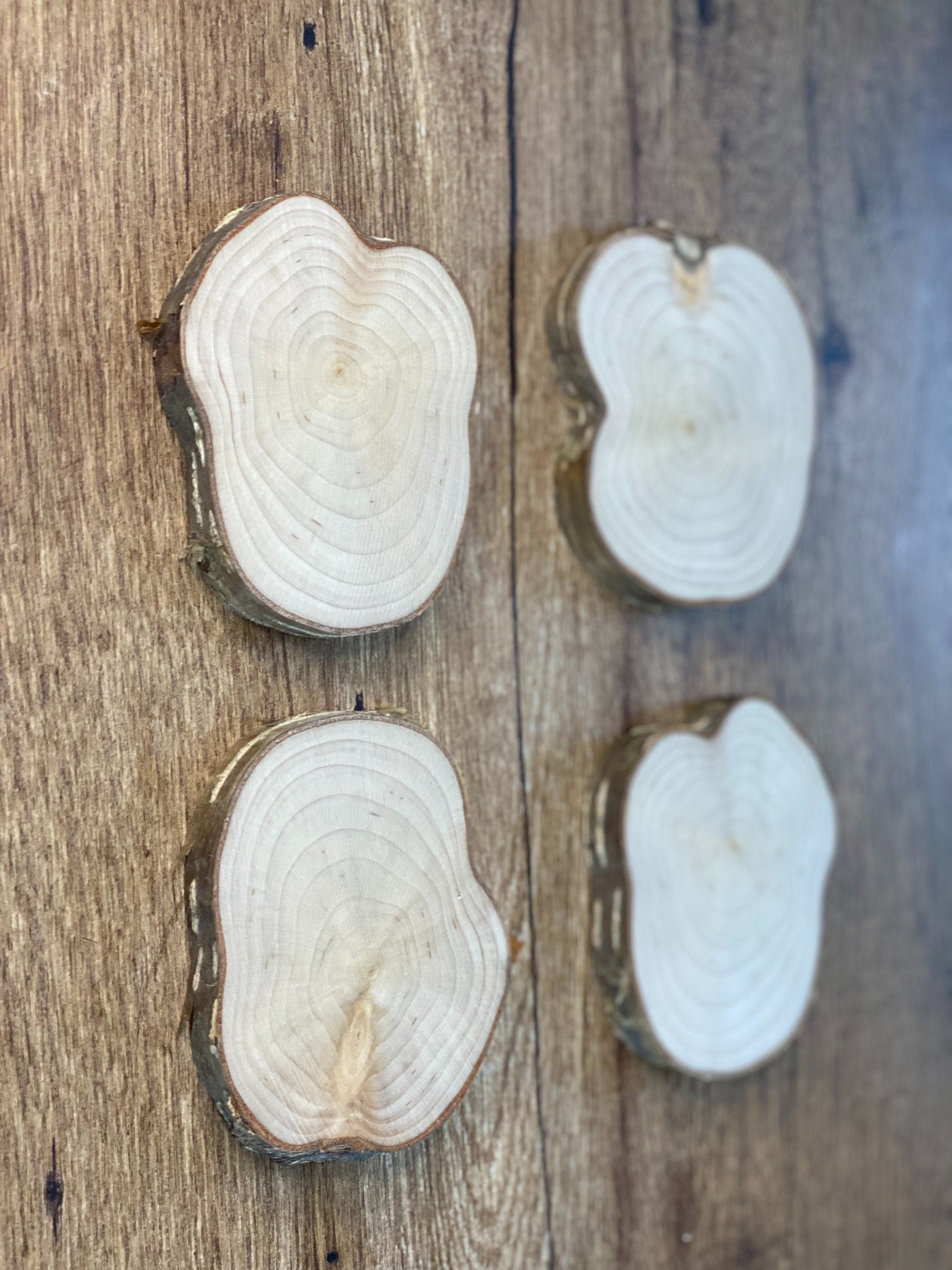 Four Yellow Birch Slices, 4 Golden Brown Discs, Approximately 3 to 4 Inches Diameter by 1/2 Inch Thick