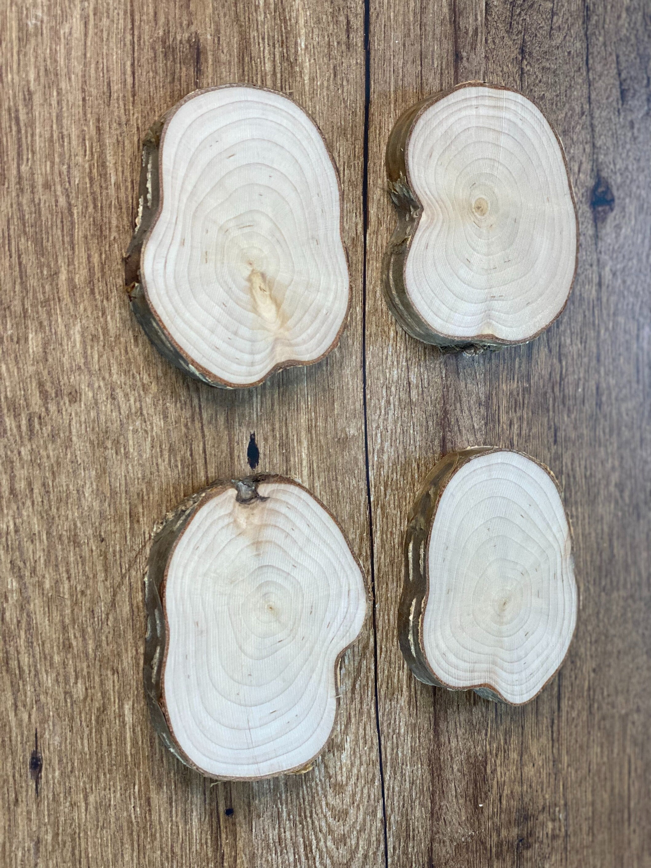 Four Yellow Birch Slices, 4 Golden Brown Discs, Approximately 3 to 4 Inches Diameter by 1/2 Inch Thick