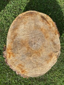 Basswood Hammerschlagen Log, One Count, Approximately 20 Inches Long by 17 Inches Diameter and 8 Inches Tall