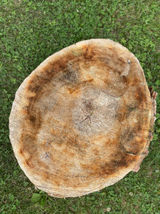 Basswood Hammerschlagen Log, One Count, Approximately 20 Inches Long by 17 Inches Diameter and 10 Inches Tall