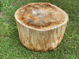 Basswood Hammerschlagen Log, One Count, Approximately 20 Inches Long by 17 Inches Diameter and 10 Inches Tall