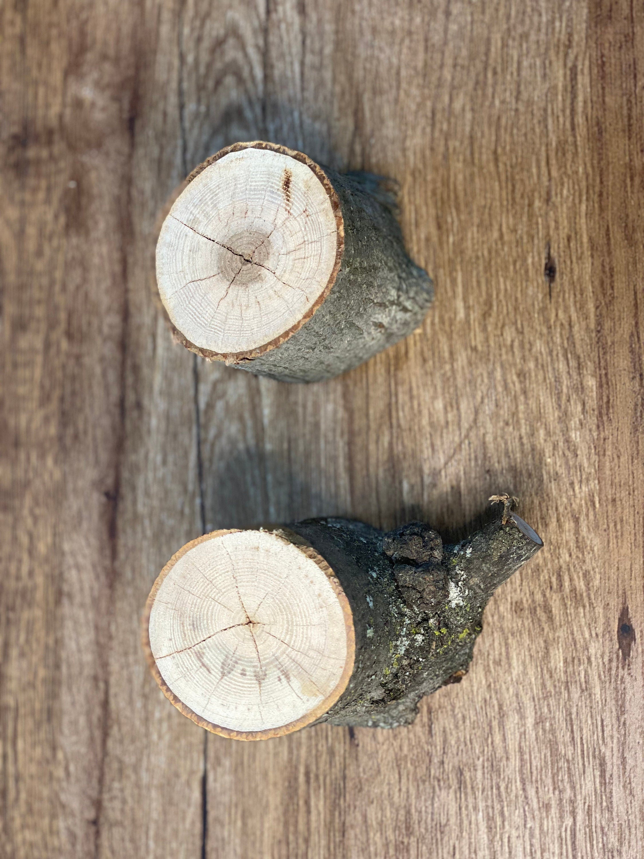 Unique Hickory Stumps, Hickory Logs, Approximately 2.5-3 Inches Long by 3-4 Inches Wide and 3 Inches Tall