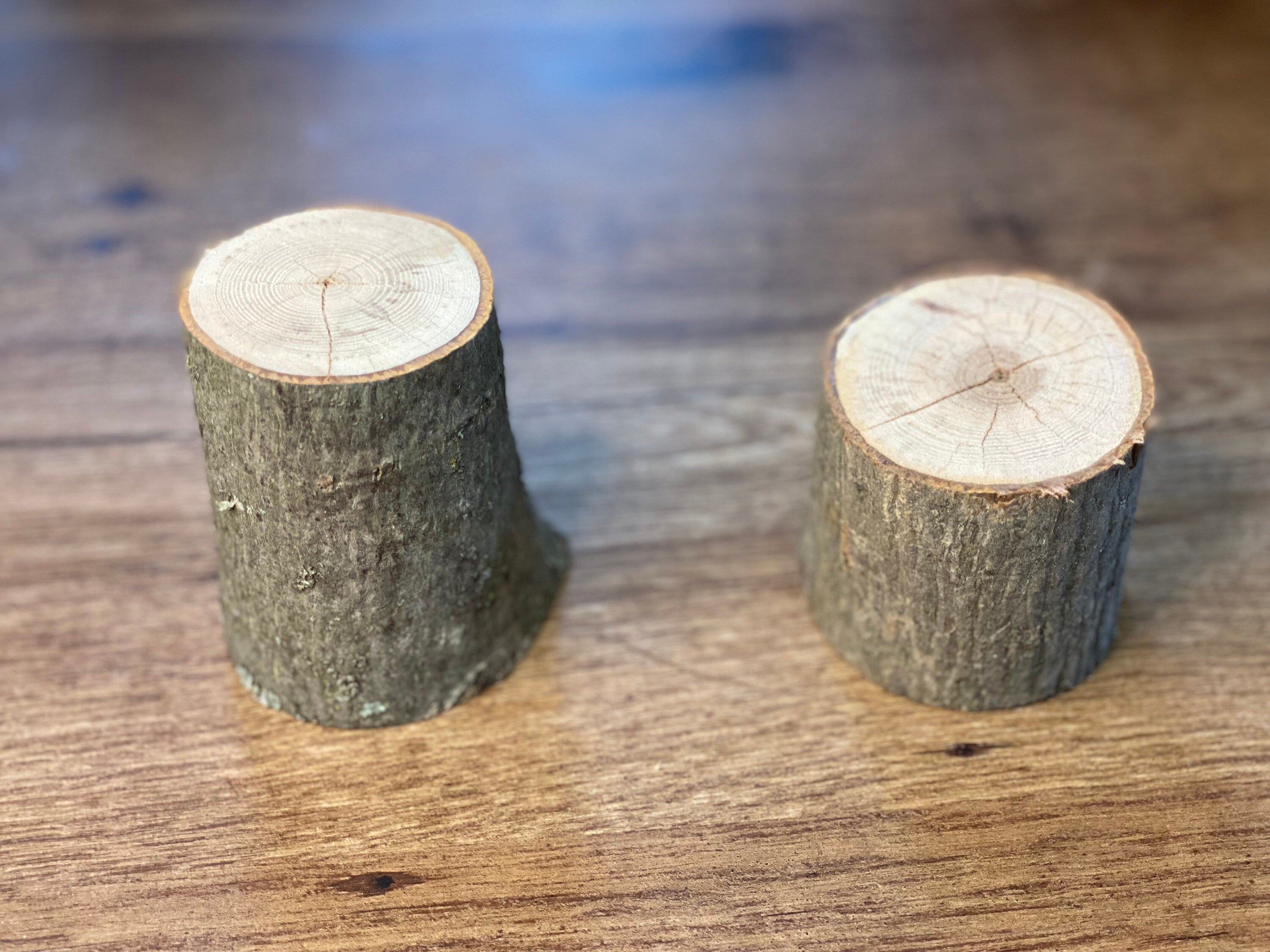 Unique Hickory Stumps, Hickory Logs, Approximately 2.5-3 Inches Long by 3-4 Inches Wide and 3 Inches Tall