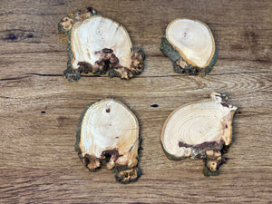 Four Hickory Burl Slices, 4 to 5 Inches Long by 3 to 4 Inches Wide, 1/2 Inch Thick, 4 Count