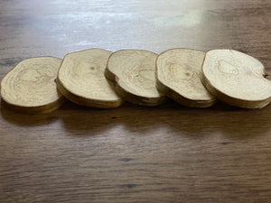 Yellow Birch Slices, 5 Golden Brown Discs, Approximately 4.5 Inches Diameter by 1/2 Inch Thick