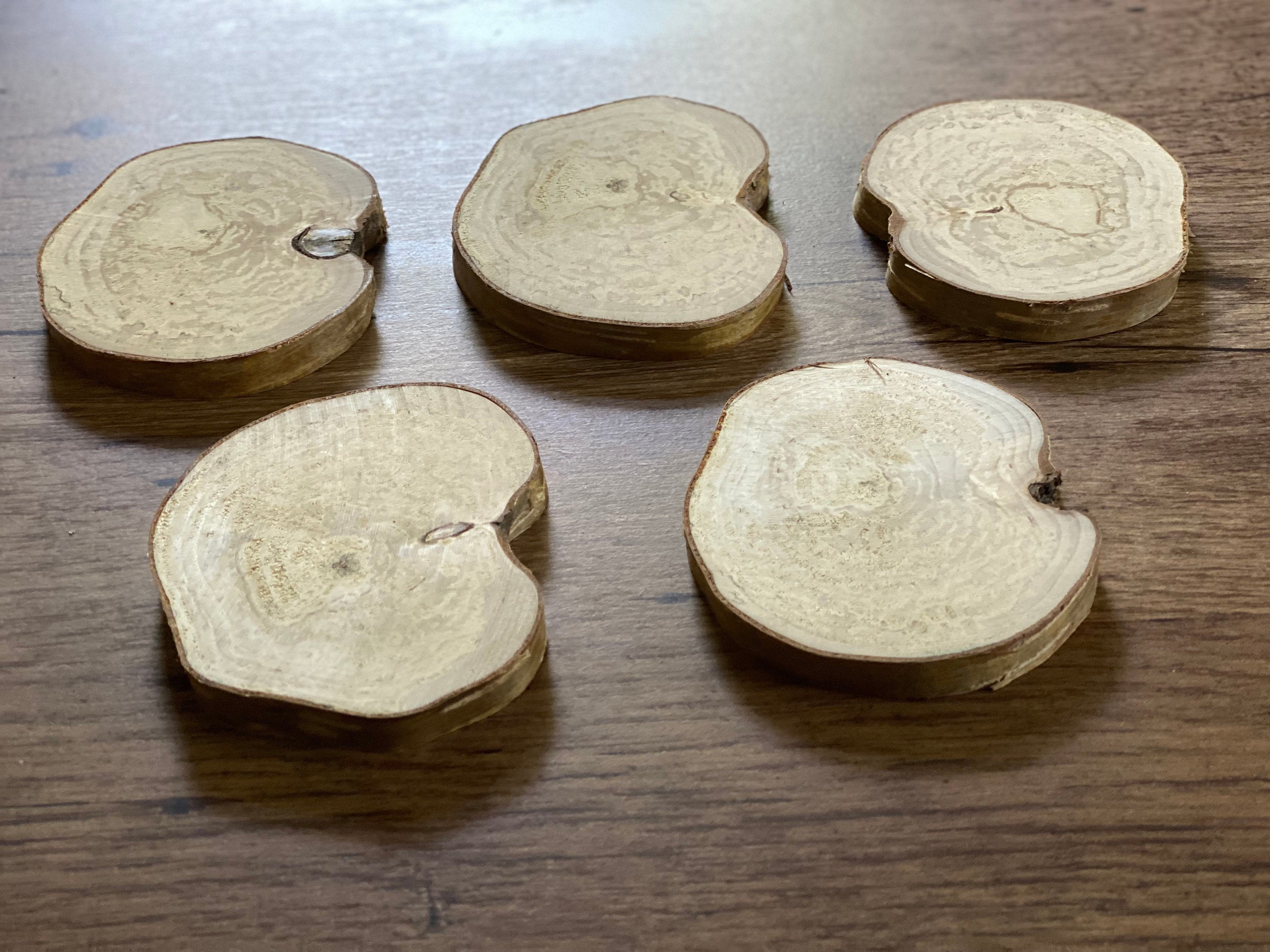 Yellow Birch Slices, 5 Golden Brown Discs, Approximately 4.5 Inches Diameter by 1/2 Inch Thick