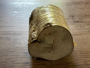 Yellow Birch Log, Golden Brown, Approximately 6 Inches Long by 5 Inches Wide and 4 Inches High