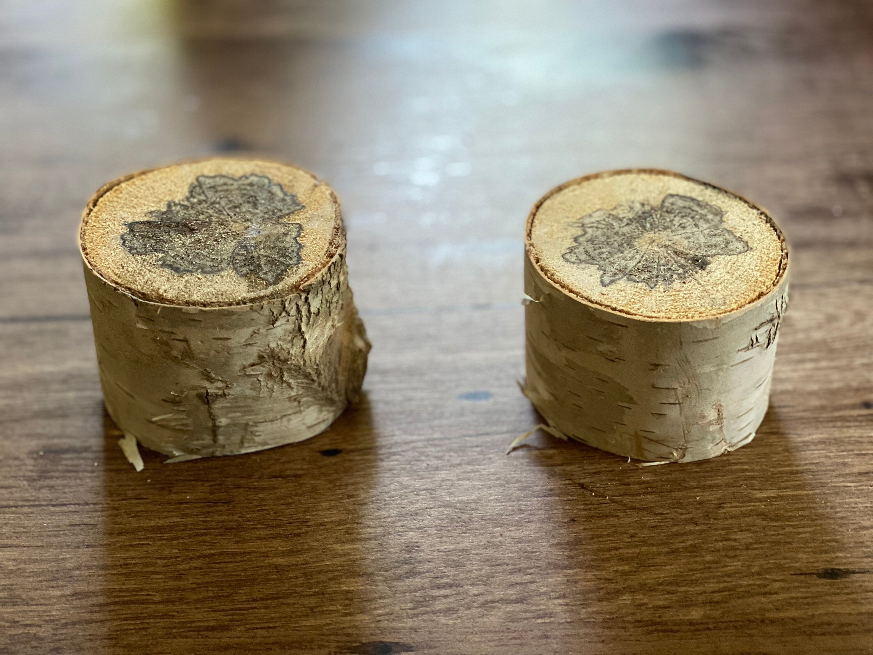 Two Spalted White Birch Logs, Approximately 2-2.5 Inches Long by 3 inches Wide and 2.5-3 Inches Thick