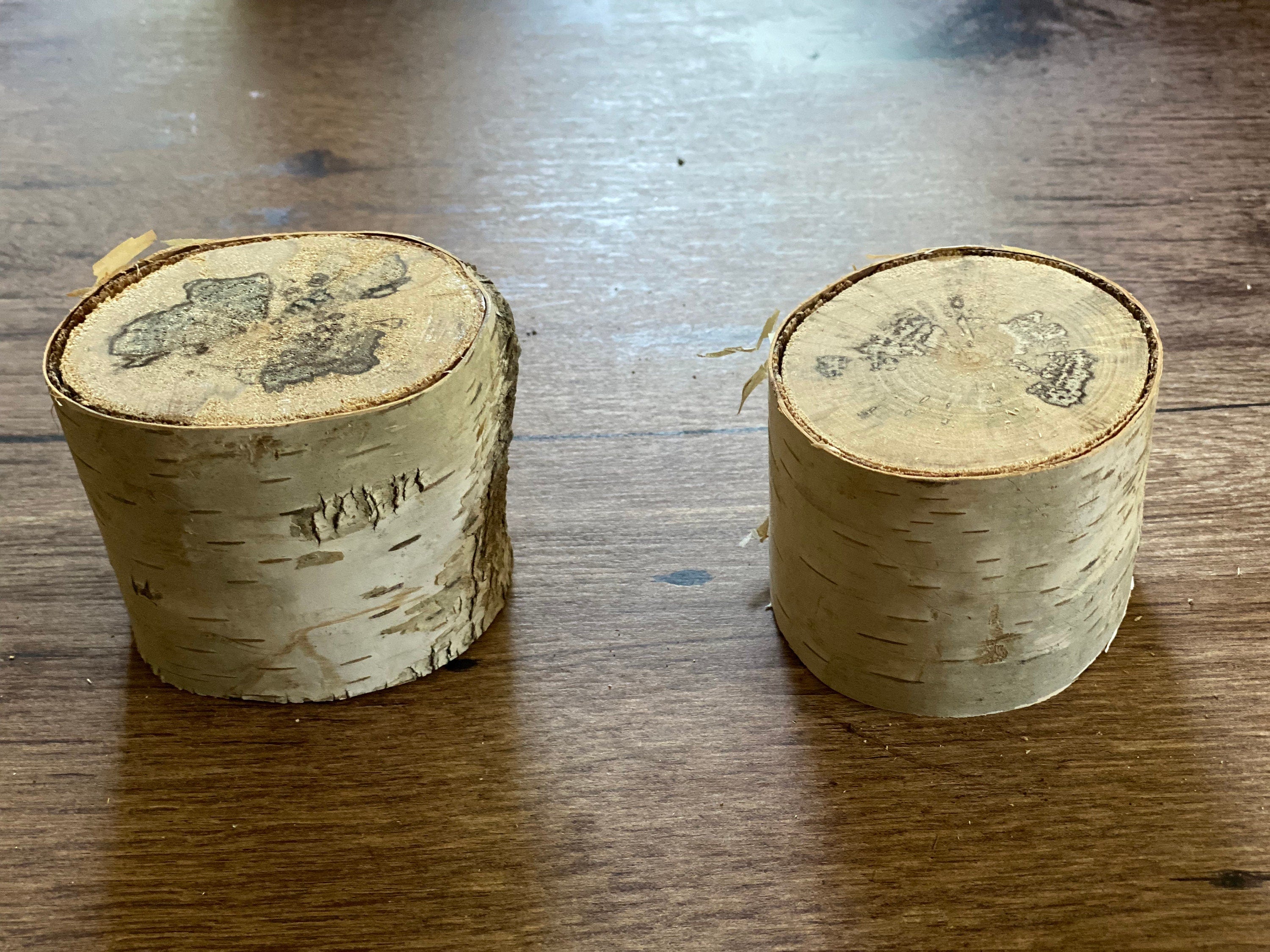 Two Spalted White Birch Logs, Approximately 2-2.5 Inches Long by 3 inches Wide and 2.5-3 Inches Thick