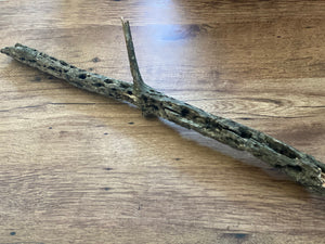 Tree Branch with Natural Woodpecker Holes and Cavities, Unique, 28 Inches Long by 6 Inches Wide and 2 Inches Thick