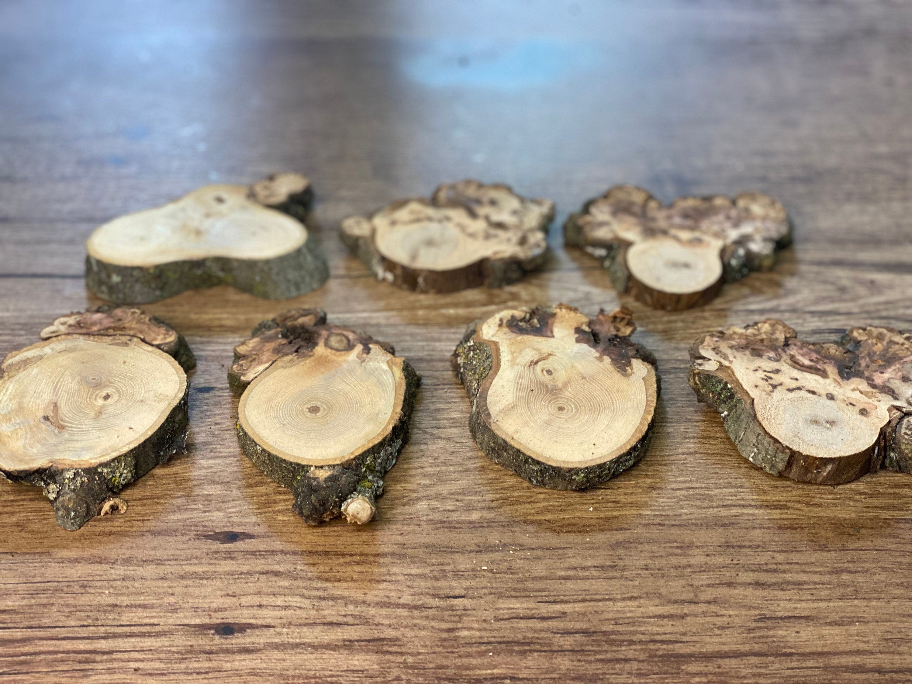 Hickory Burl Slices, 7 Count, Approximately 3.5-4 Inches Long by 2-3 Inches Wide