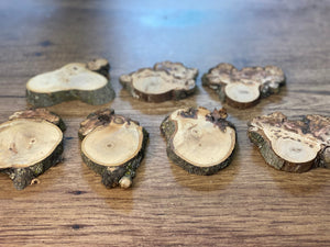 Hickory Burl Slices, 7 Count, Approximately 3.5-4 Inches Long by 2-3 Inches Wide