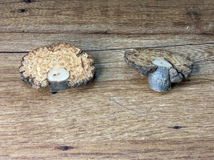 Two Unique Hickory Burl Slices, 2 Count, Approximately 3 Inches Long by 2.5 Inches Wide and 1 Inch Thick