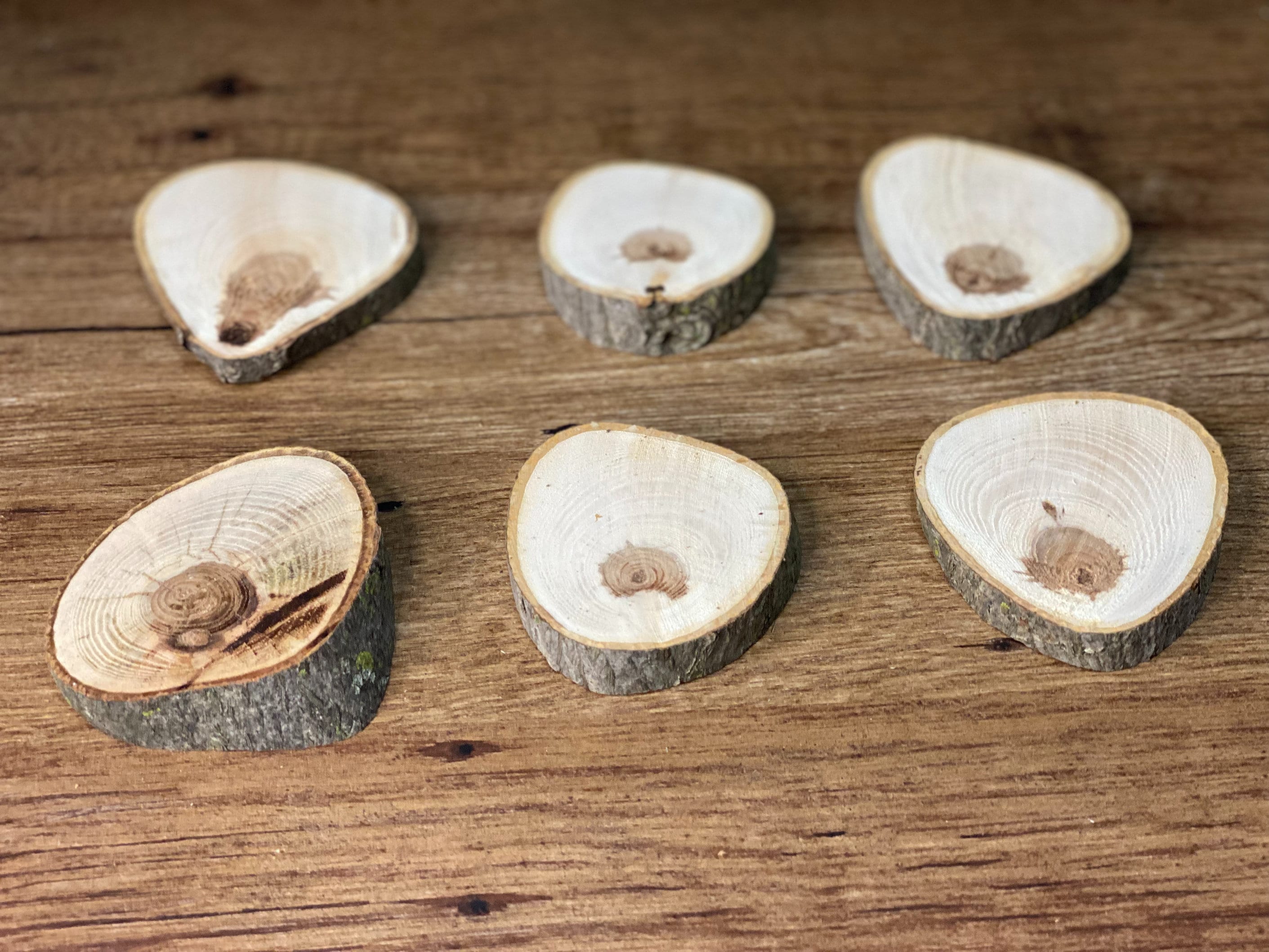 Six Hickory Burl Slices, 6 Count, Approximately 3 Inches Long by 2.5-3 Inches Wide