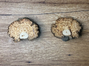 Two Unique Hickory Burl Slices, 2 Count, Approximately 3 Inches Long by 2.5 Inches Wide and 1 Inch Thick