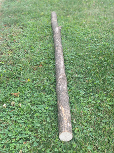 Ironwood Walking Stick, Ironwood Log, Approximately 50 Inches Long x 1.75 Inches Diameter