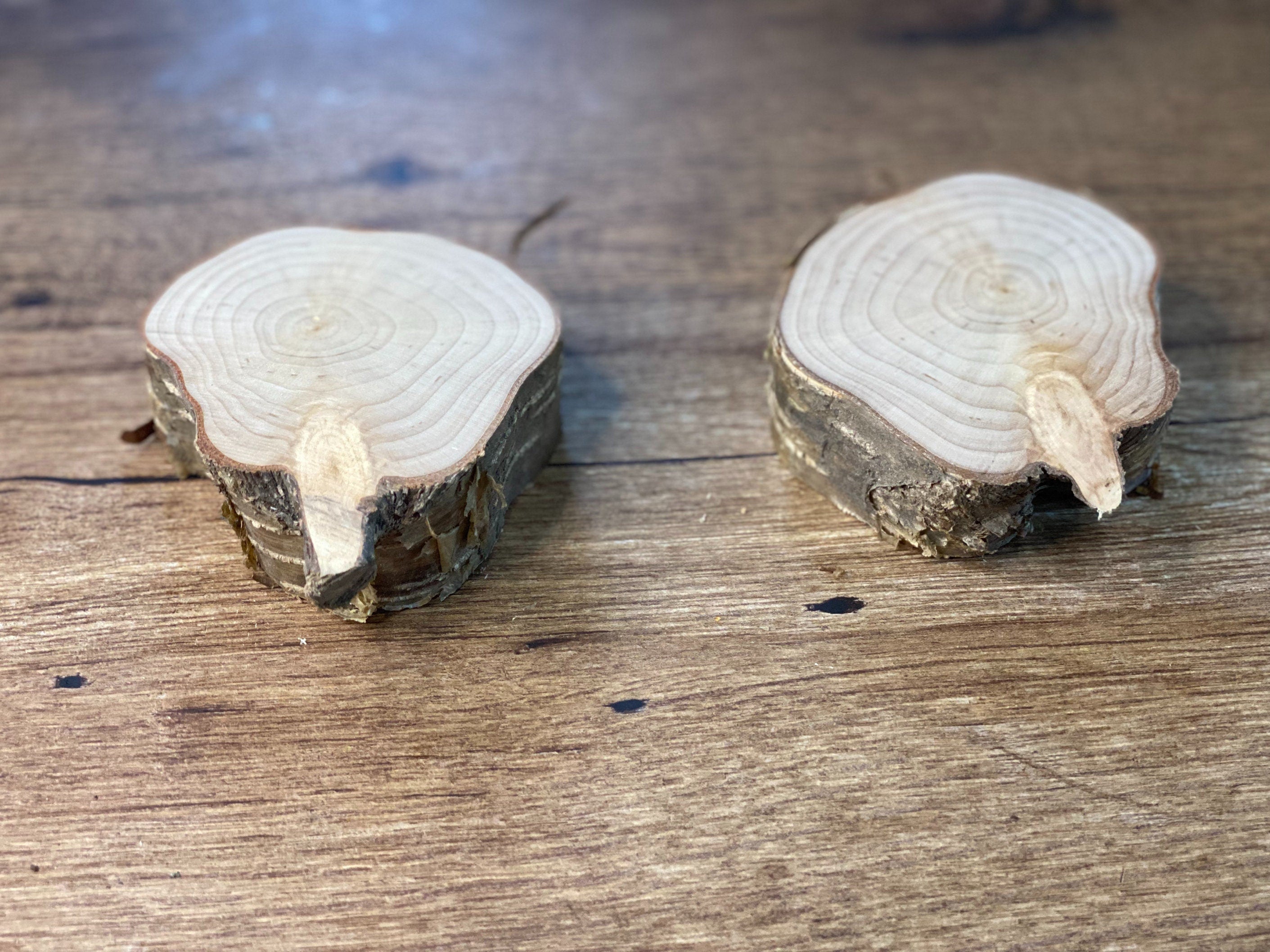 Two Thick Yellow Birch Slices, 2 Golden Brown Discs, Approximately 3-4 Inches Diameter by 1 Inch Thick
