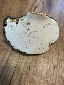 Polypore, Artist Conk, large size,  9 x 6 x 4 inches