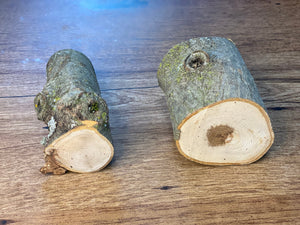 Unique Hickory Logs, Approximately 3 to 4 Inches Long by 2 to 3 Inches Wide and 2 Inches Tall