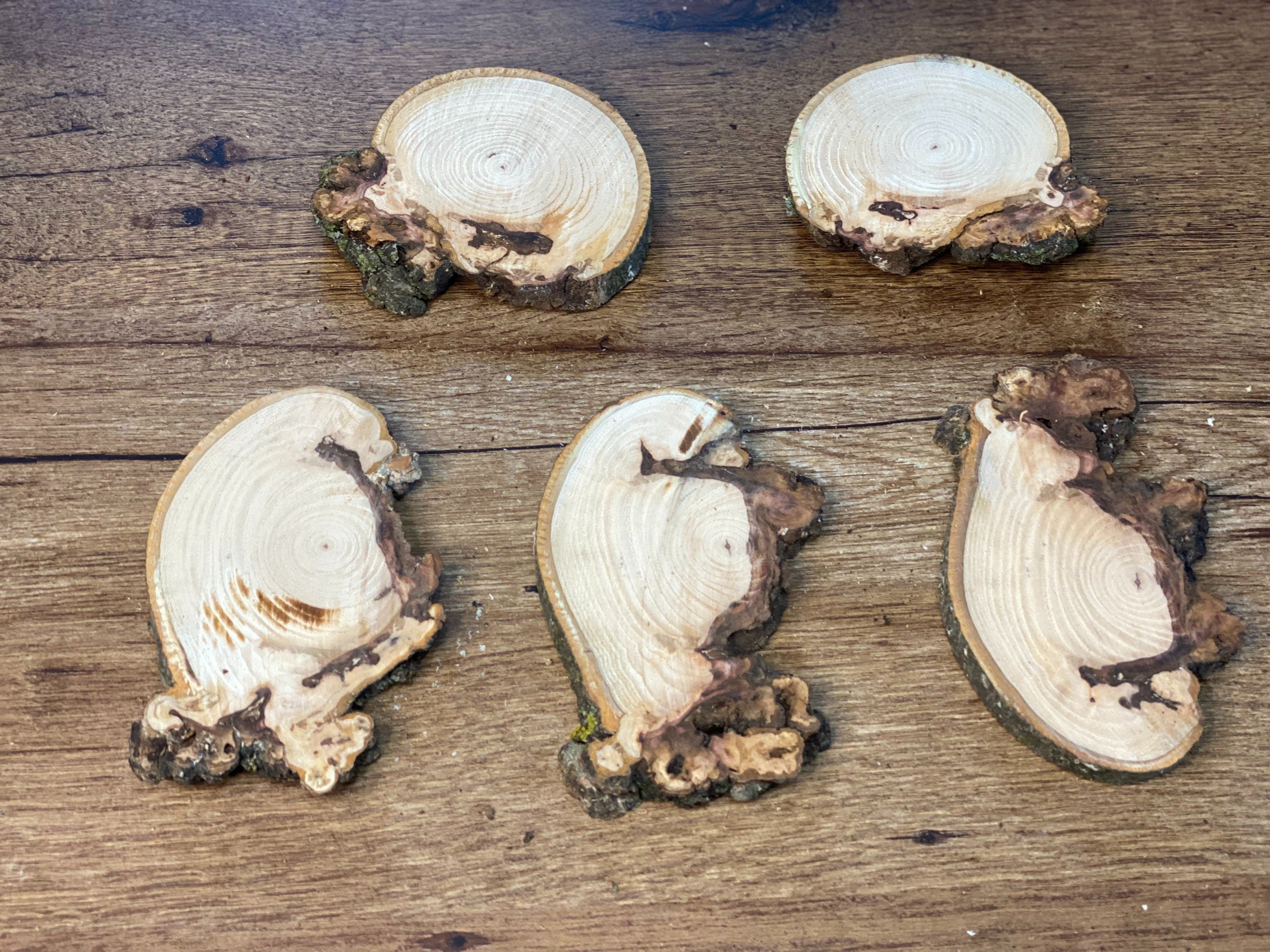 Five Unique Hickory Burl Slices, 3 to 5 Inches Long by 3 to 4 Inches Wide, 1/2 Inch Thick, 5 Count