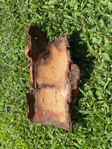 White Birch Bark Sheet, Approximately 10 Inches Long by 6 Inches Wide