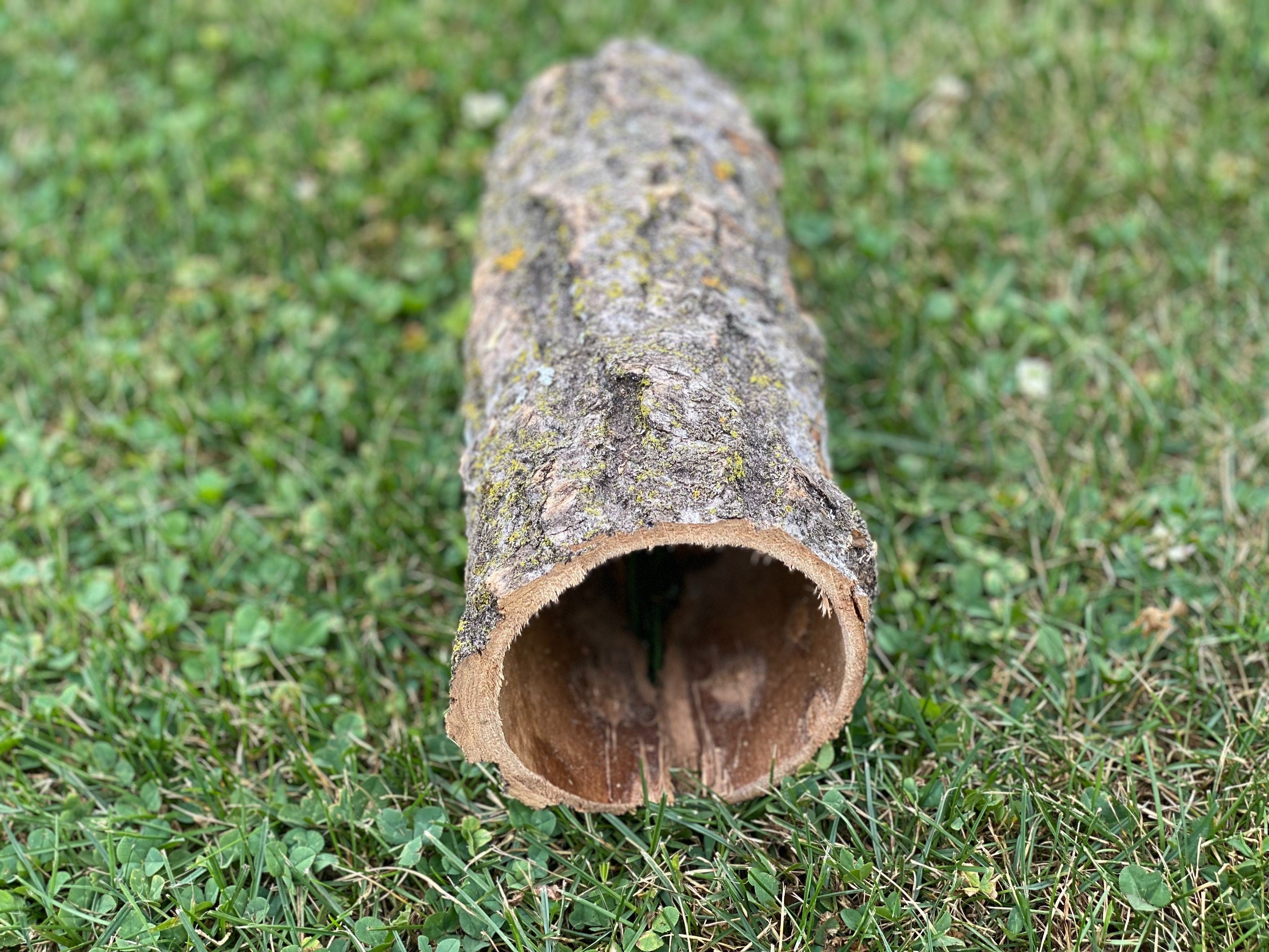 Aspen Turtle Tunnel, Approximately 9.5 Inches Long by 4 Inches Wide and 4 Inches High