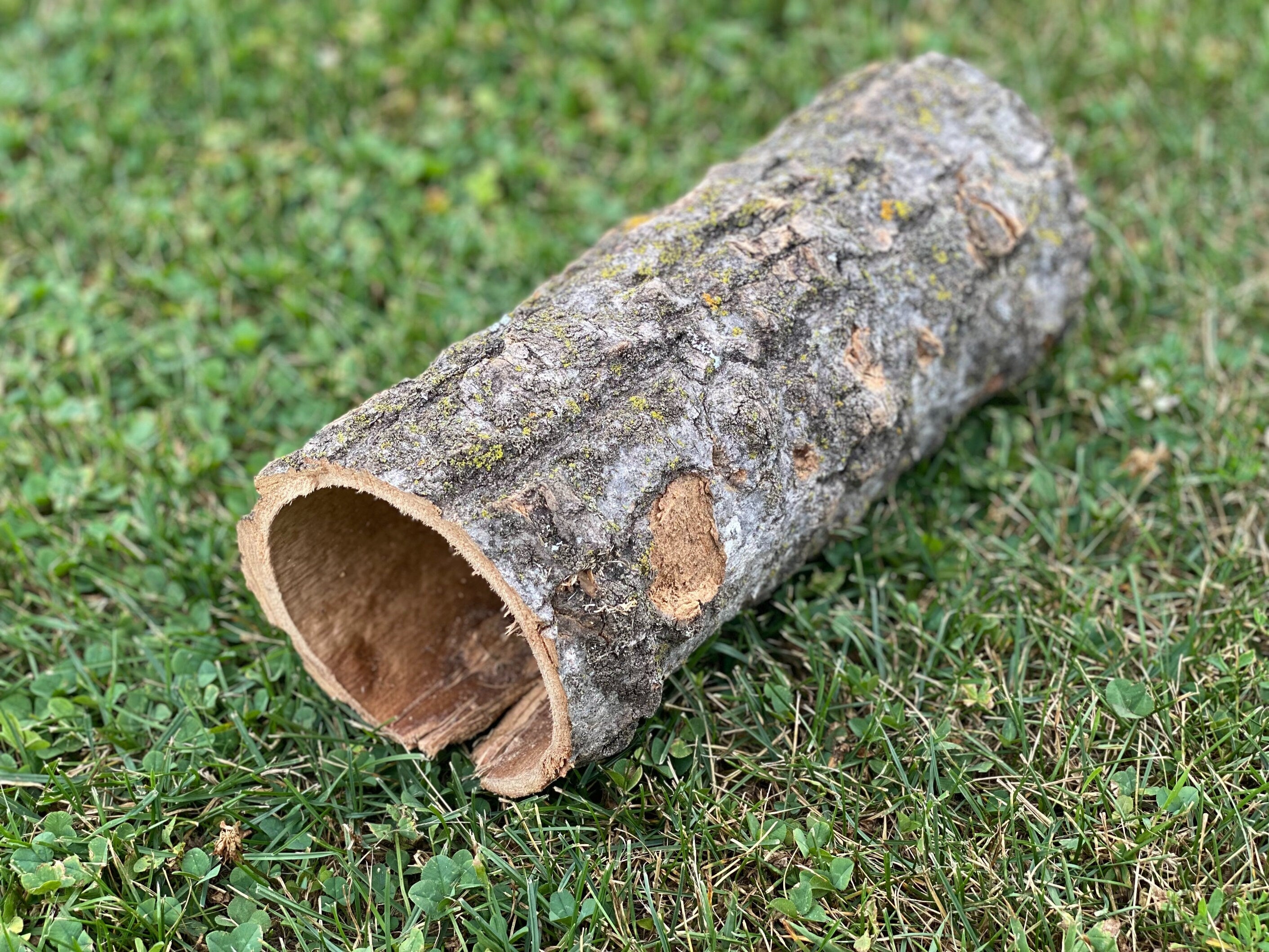 Aspen Turtle Tunnel, Approximately 9.5 Inches Long by 4 Inches Wide and 4 Inches High