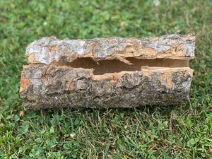 Aspen Turtle Tunnel, Approximately 9.5 Inches Long by 4 Inches Wide and 4 Inches High