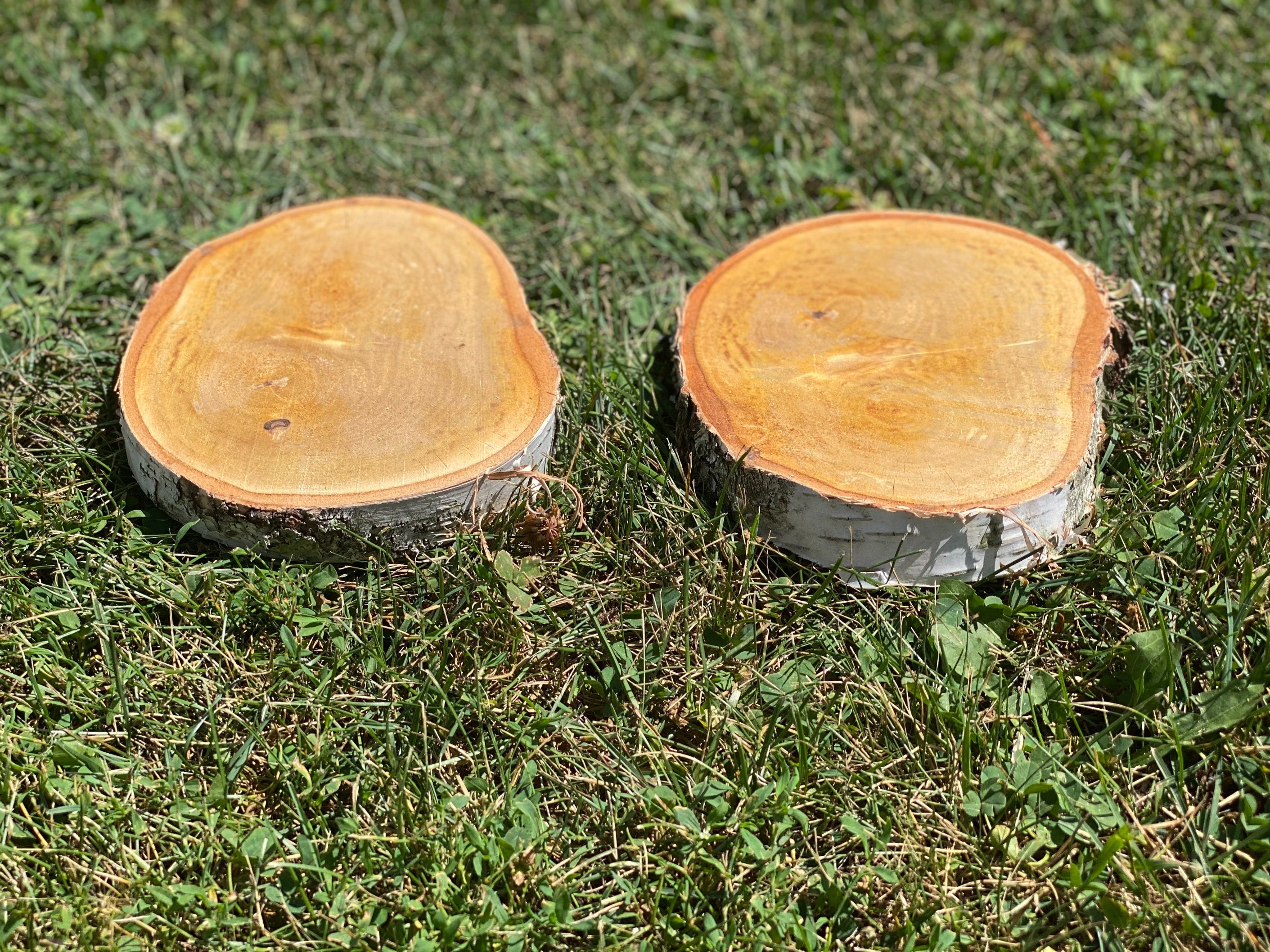 Two White Birch Discs, Approximately 6 Inches Long by 4-5 Inches Wide and 1 Inch Thick