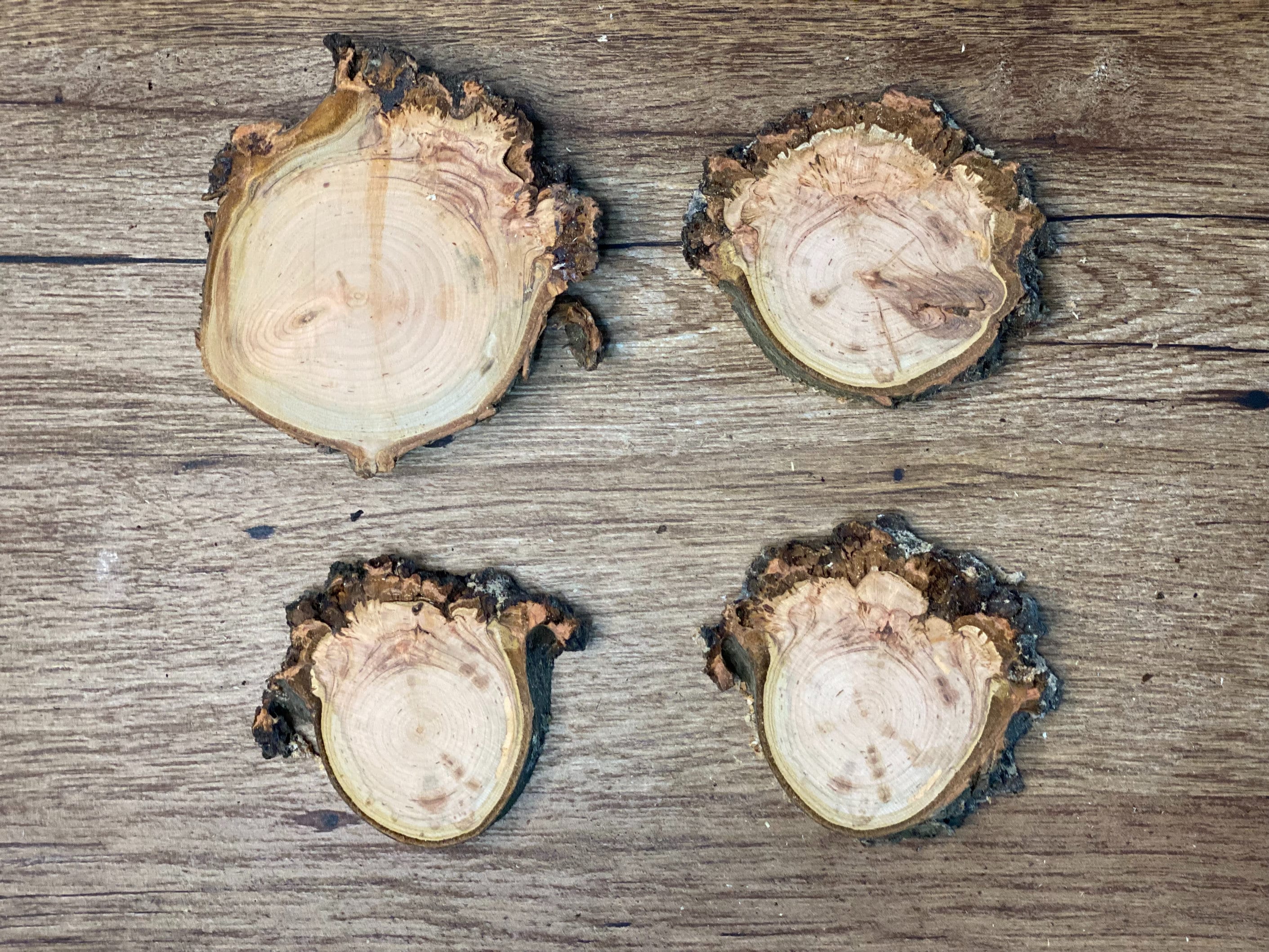 Burl, Four Cherry Burl Slices, Approximately 3 to 4 Inches Long by 3 Inches Wide and 1/2 Inch Thick