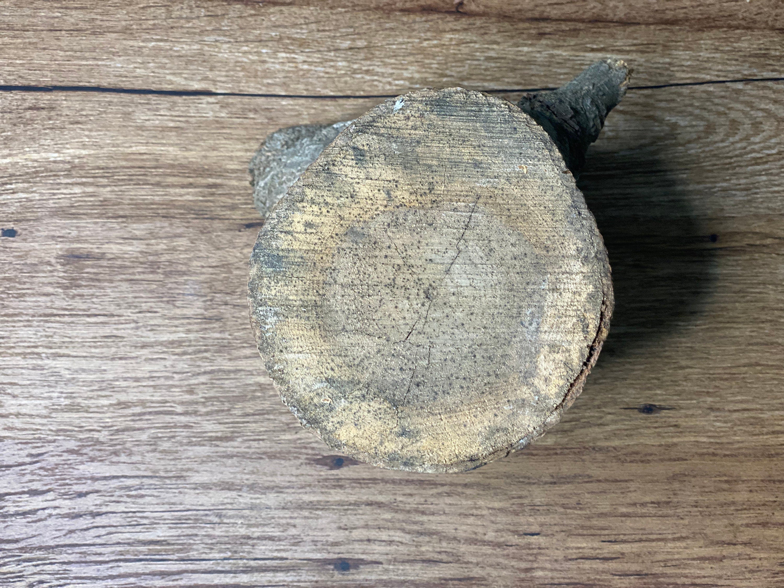 Hickory Log, Approximately 5 Inches Long by 5 Inches Wide and 4 Inches Thick