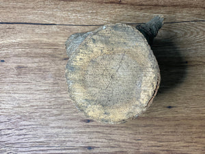 Hickory Log, Approximately 5 Inches Long by 5 Inches Wide and 4 Inches Thick